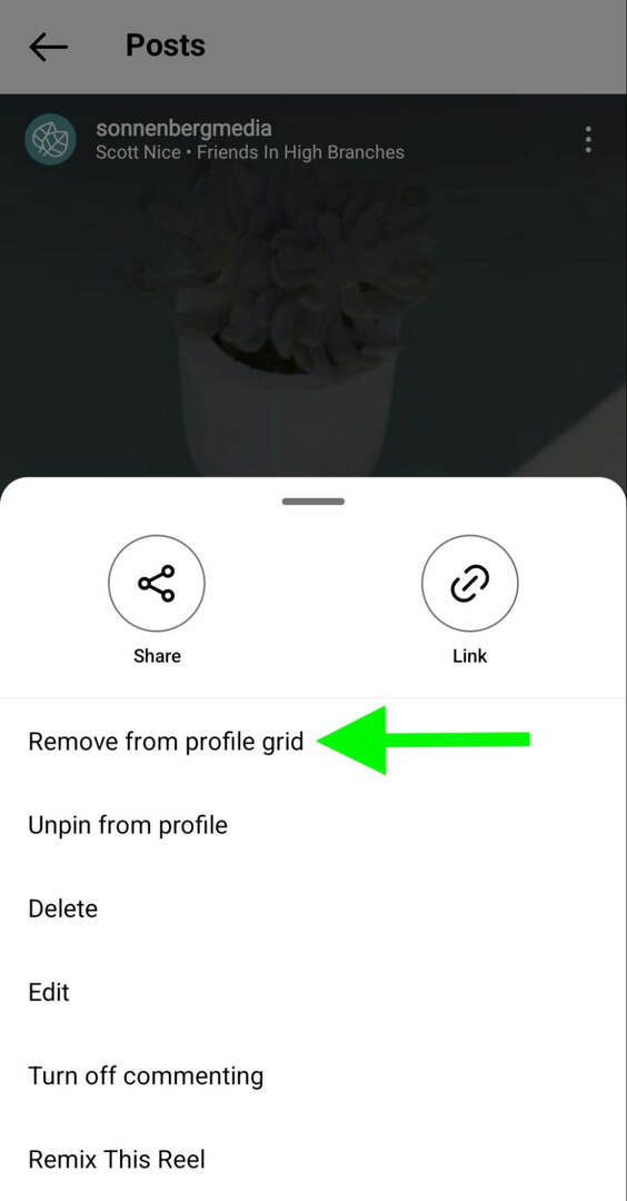 how-to-instagram-unpin-reels-profile-remove-grid-sonnenbergmedia-step-4