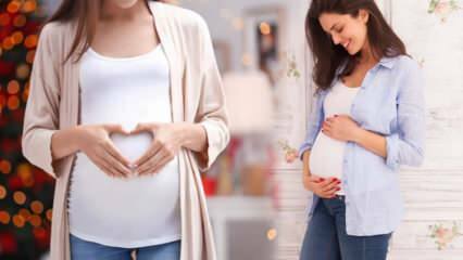 Hvad er ægløsningstid? Hvornår skal man have samleje for at blive gravid?
