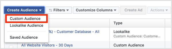 Facebook Ads Manager Audiences-dashboard skaber brugerdefineret publikum