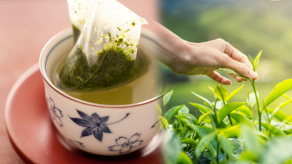 Svækkes rystende grøn te? Hvad er forskellen mellem teposer og brygget te? Hvis du drikker grøn te ved sengetid ...