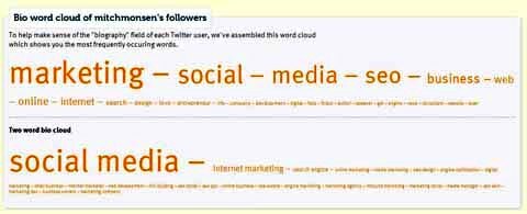 followerwonk bio word cloud-rapport