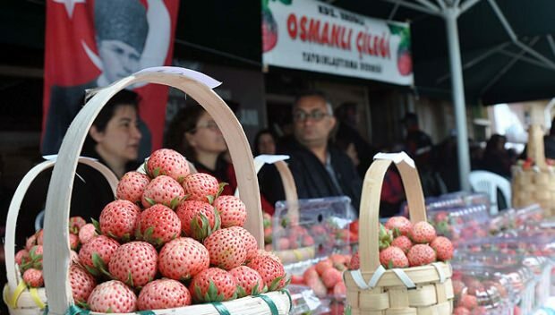 Ereğli Ottoman Strawberry Culture and Art Festival 