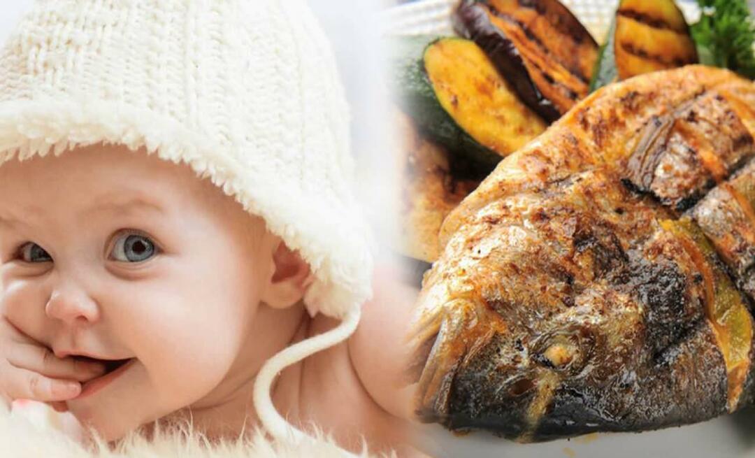 Hvornår skal man give fisk til babyer? Hvordan giver man fisk til babyer, og hvordan tilbereder man den?