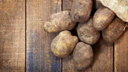 Hvordan opbevares kartofler?