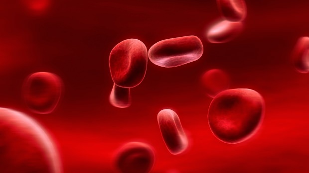Hvad er en diæt med blodgrupper? Hvordan gøres det?