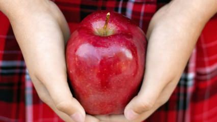 Hvordan vurderes rådne æbler? 