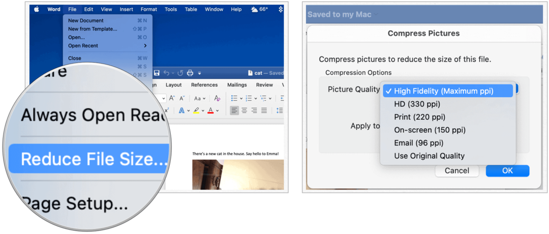 Microsoft Word på Mac reducerer filstørrelsen