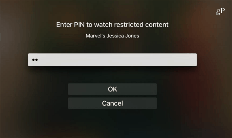 Netflix Indtast PIN-visning Begrænset indhold