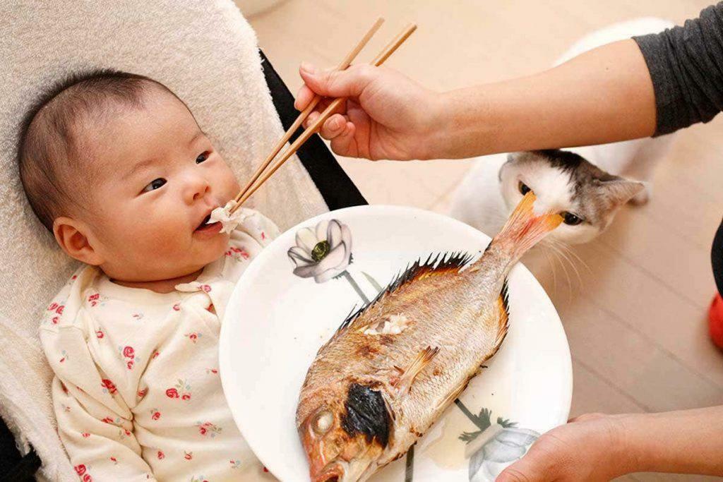 fodre fisk til baby