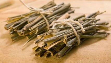Hvad er fordelene ved hvid pilbark? Hvis du drikker et glas willow bark te hver dag ...