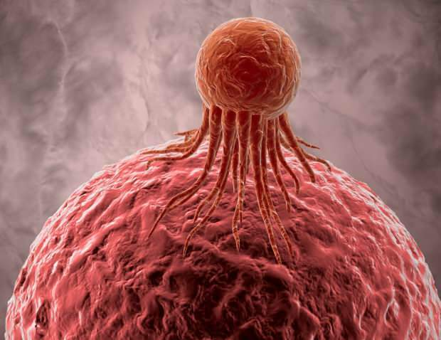 kræftceller påvirker andre sunde celler negativt