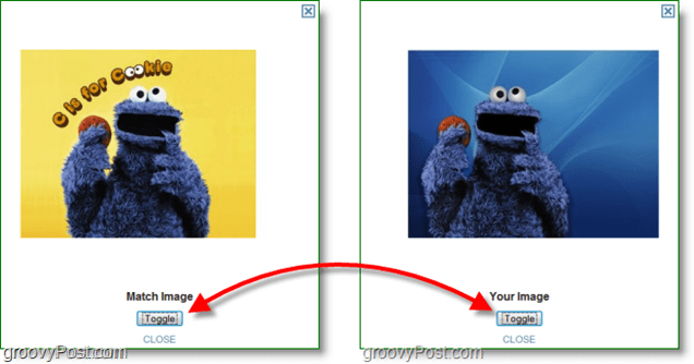 TinEye-skærmbillede - sammenligning af originalt billede og matchbillede