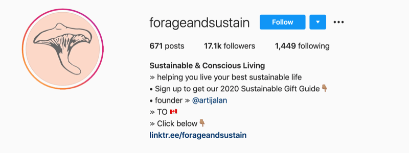 instagram profileksempel fra @forageandsustain med en note i deres profilinfo for at klikke på biolinket for mere