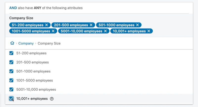 eksempel linkedin-annoncekampagnemålgruppe 'og' attribut indstillet med virksomhedsstørrelse mellem 51 og 10.001+ ansatte