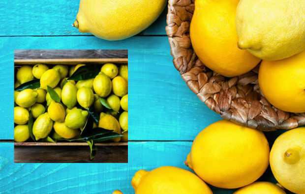 slankende med citron diæt