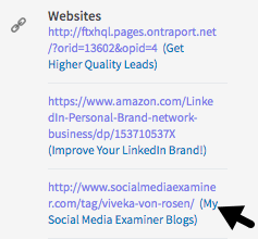 Mens du ikke længere kan tilpasse dine LinkedIn-profillinks, kan du medtage beskrivelser ved siden af ​​dem.