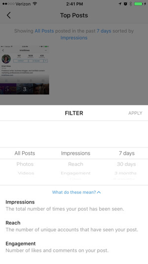 instagram-virksomheds profilindsigtsfilter