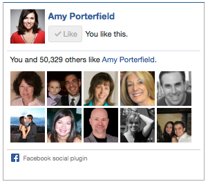 amy porterfield facebook som box