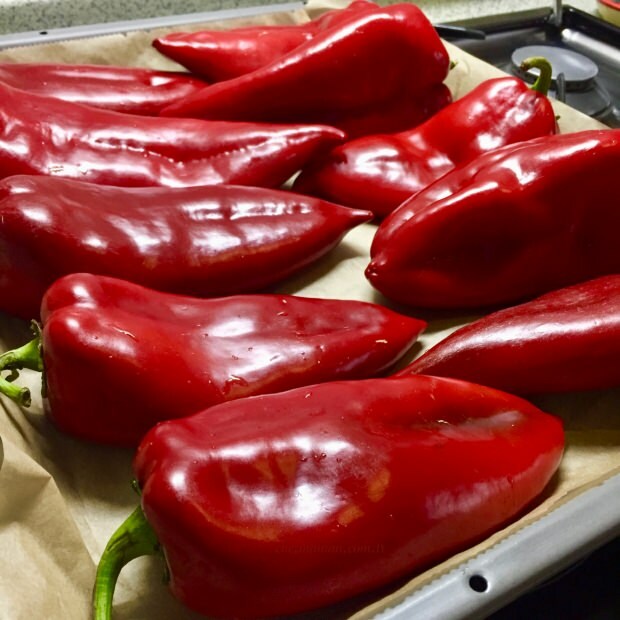 fordelene ved rød peber