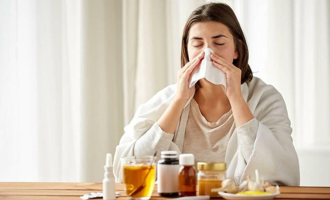 Hvad er almindelig forkølelse? Hvilken urtete er god mod forkølelse?