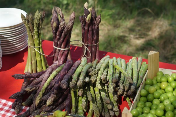 Hvad er fordelene ved asparges