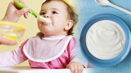 Hvordan laver man yoghurt til babyer? Hjemmelavet frugt yoghurt opskrifter til babyer