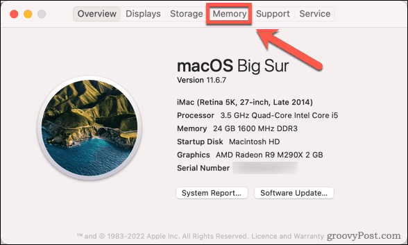 mac-hukommelsesfanen