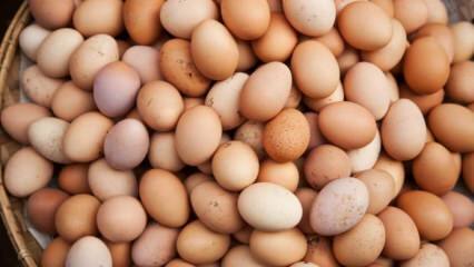 Hvad skal man overveje, når man vælger et æg?