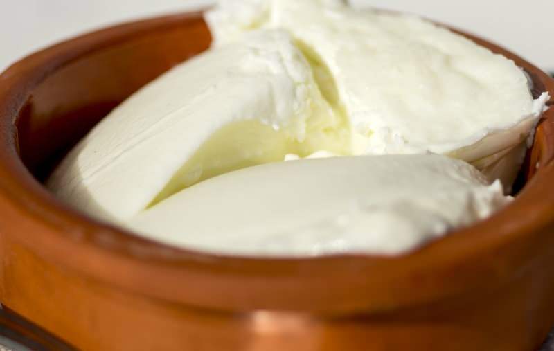 bøffel yoghurt er rig på calcium