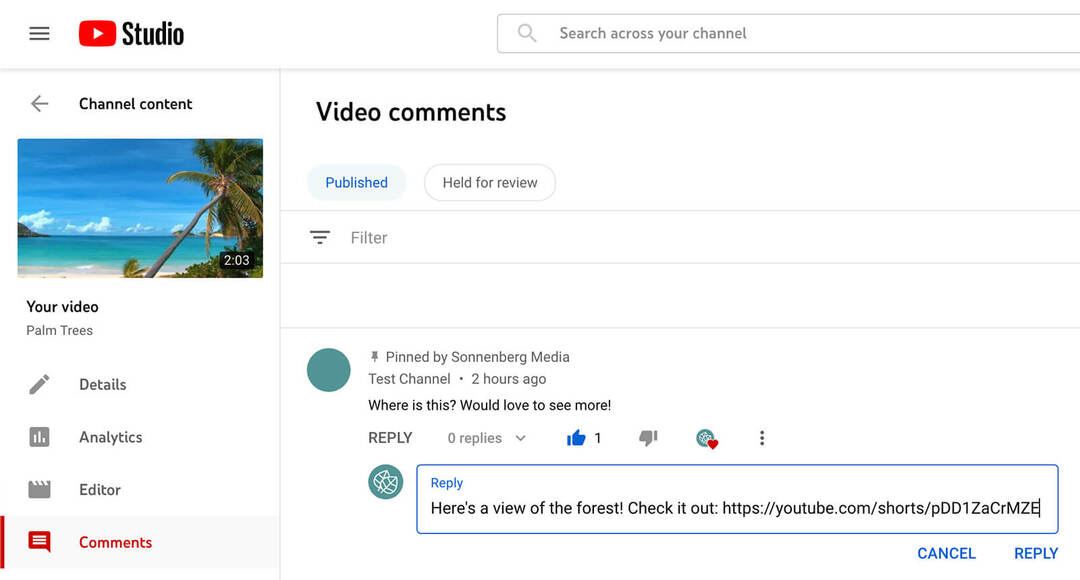 hvordan-bruger-youtube-shorts-commenting-feature-to-tag-and-mention-commenters-replying-to-original-comment-with-text-comment-example-14