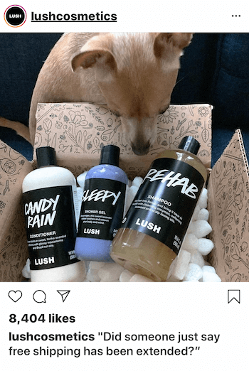 Instagram-forretningsindlæg med hund