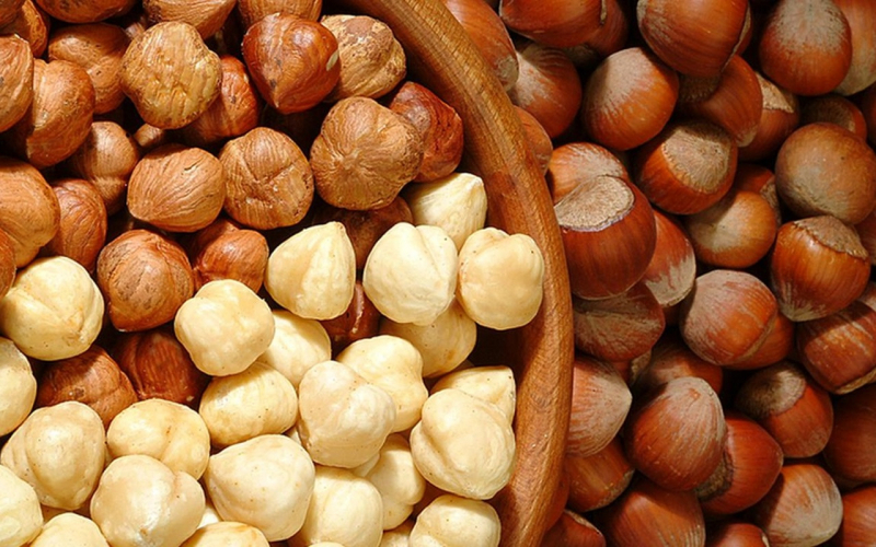 Hvad er fordelene ved hasselnød? Hvad gør hasselnøddeskaller? Hvis du spiser en håndfuld rå nødder ...