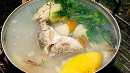 Hvordan fremstilles vand af fiskeben? Fremstilling af lækker fiskeben bouillon