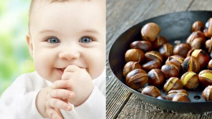 Saraçoğlu forklarede fordelene ved kastanje! Hvor mange måneder gammel baby kan spise kastanjer? Opretter kastanje gas i babyen?