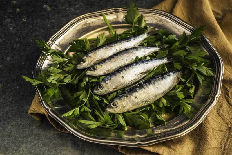 sardinfisk forhindrer hårtab