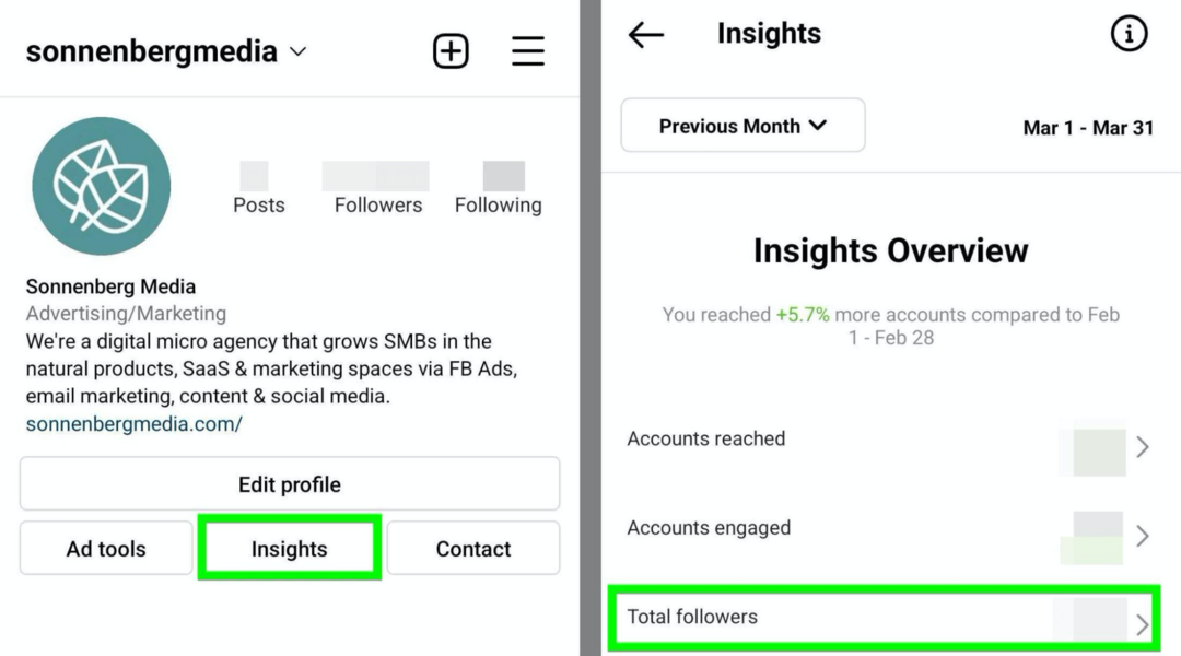 billede af Instagram Insights Total Followers mulighed