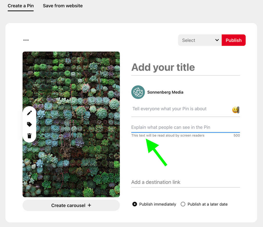 how-to-optimize-social-media-images-search-pinterest-alt-text-desktop-example-23