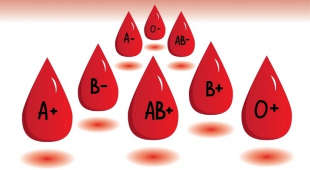 Hvad gør blodtypediet?