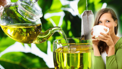 Kan gravide kvinder drikke grøn te? Grøn te fordele og vægttab metode