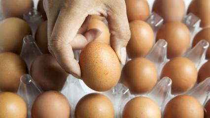 Praktiske råd til at holde æg frisk